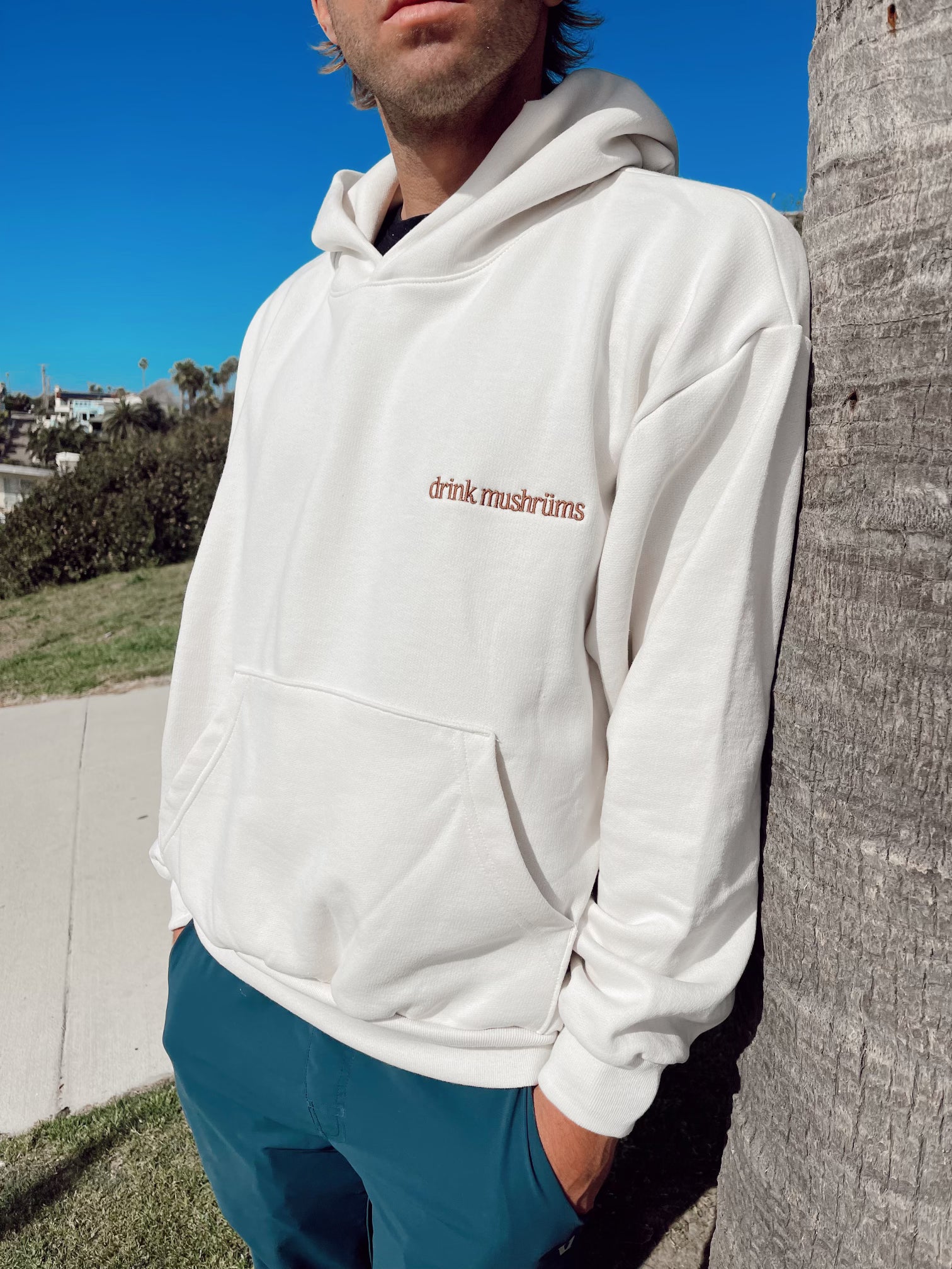 "drink mushrüms" hoodie